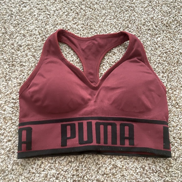 Puma - Picture 2 of 3